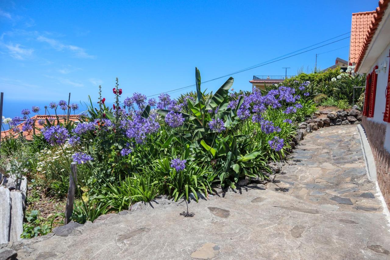 Casas Tipicas Candelaria Tabua Ponta do Sol  Εξωτερικό φωτογραφία